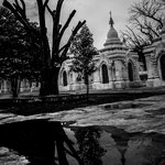 Photo taken by Terrence Y