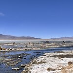 Photo taken by Shirley S