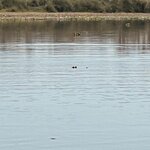 Photo taken by don m