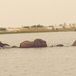 Photo taken by Paul B