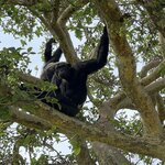 Photo taken by Michael L