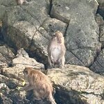 Photo taken by Kevin M