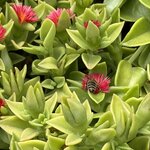 Photo taken by David B