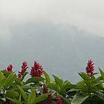 Photo taken by Janice B