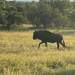 Photo taken by Crystall P