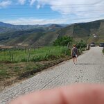 Photo taken by George N