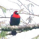 Photo taken by Joyce C