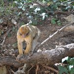 Photo taken by mirsini t