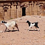 Photo taken by Sarah m