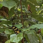 Photo taken by Sharon N