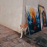 Photo taken by Adrien C