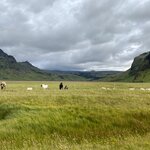 Photo taken by Joanne O