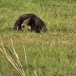 Photo taken by Adriene A