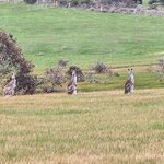 Photo taken by Scott L