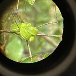 Photo taken by Jaya C