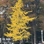 Photo taken by Beverly G