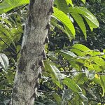 Photo taken by Breann B