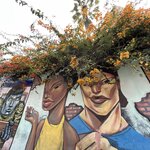 Photo taken by Kara H