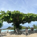 Photo taken by Jennifer C