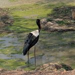 Photo taken by Sushma S