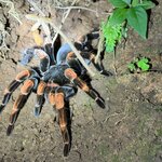 Photo taken by Mandy F