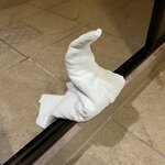 Photo taken by Victoria C