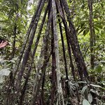 Photo taken by Yuri L