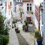 Neighborhood Walk | Photo taken by Lisa S