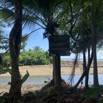 Photo taken by Anna A