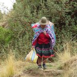 Photo taken by Barb M