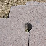 Photo taken by Jason P