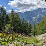 Photo taken by Lyon K