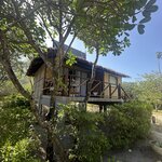 Photo taken by Collins M