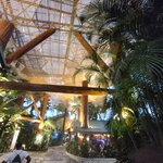 Photo taken by Brett F