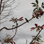 Photo taken by Brett F