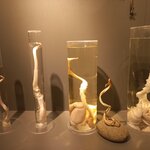 Photo taken by Arundhati G