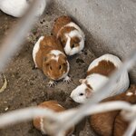 Photo taken by Mariah M