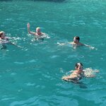 Photo taken by Judi S