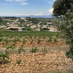 Photo taken by John P