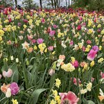 Photo taken by Kaitlyn C