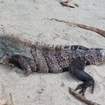 Photo taken by Sarah R