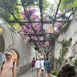 Photo taken by Jennifer F