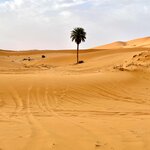 Photo taken by Tara Z