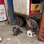 Photo taken by Kelly S