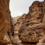 Petra | Photo taken by Cheryl M