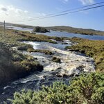 Photo taken by Janell D