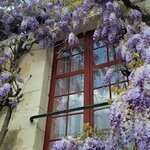 Photo taken by Audrey F