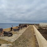 Photo taken by Mollie D