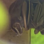 Photo taken by Mary D