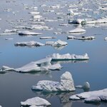 Photo taken by Dilip C